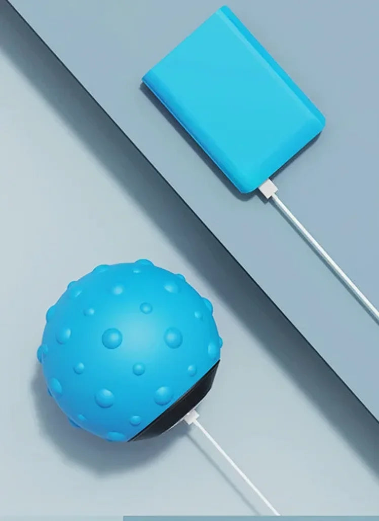 Cleanse physio therapy massage ball