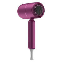 Hair Dryer with Diffuser Ionic Blow Dryer