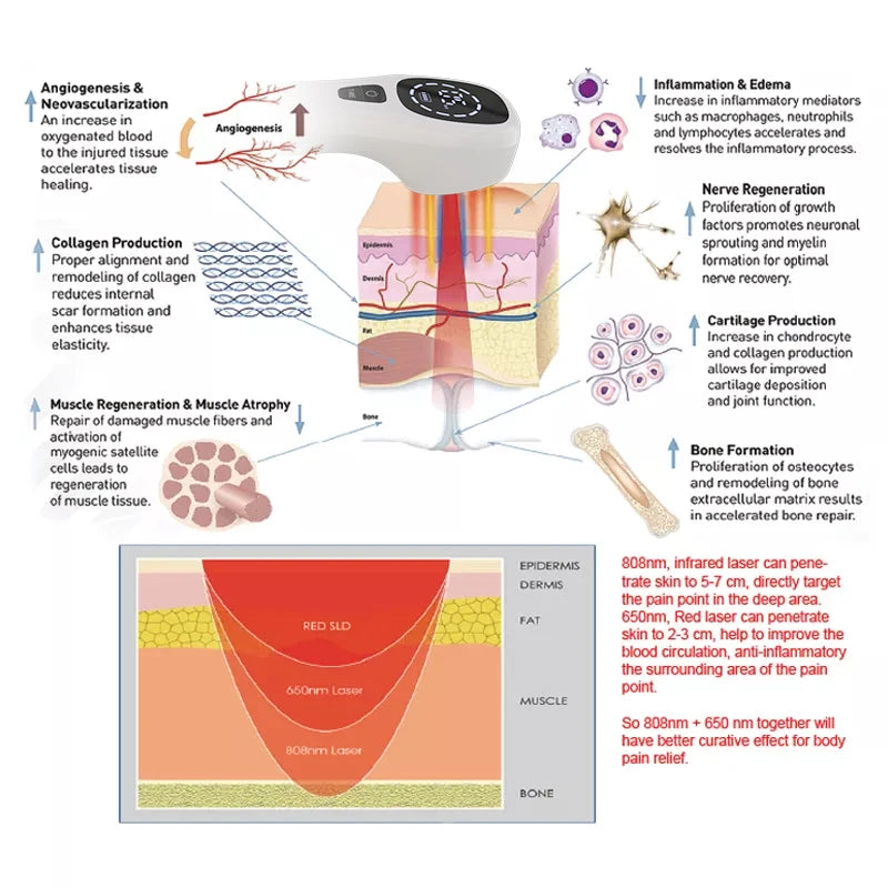 Handheld red light therapy device
