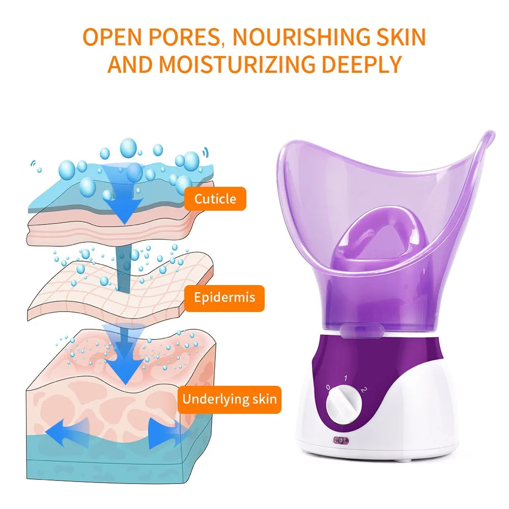Face Steamer 2