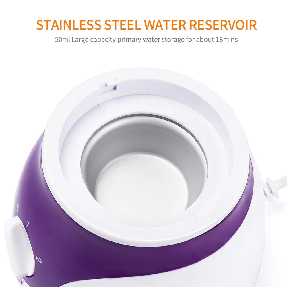 Face Steamer 2