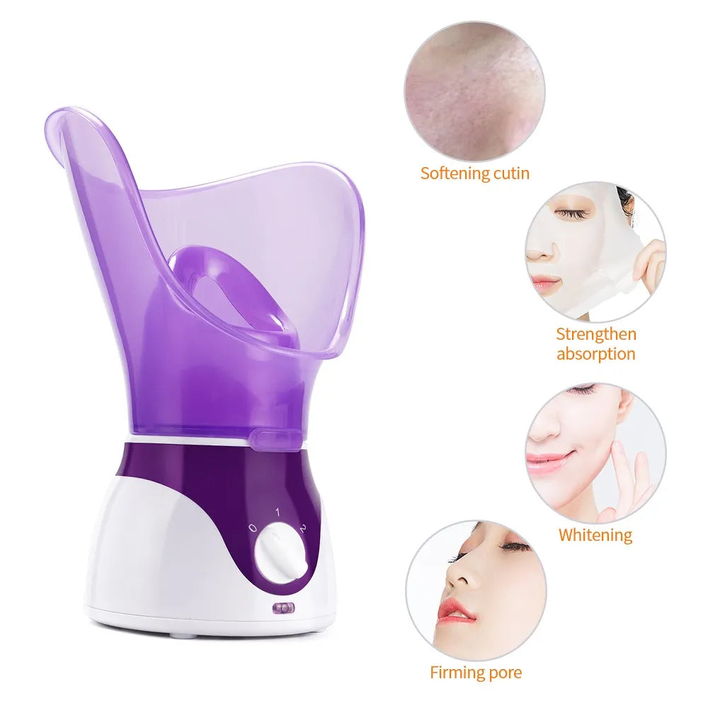 Face Steamer 2