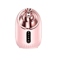 HoMedics Nano Facial Steamer