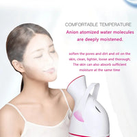 Face Steamer