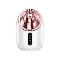 HoMedics Nano Facial Steamer